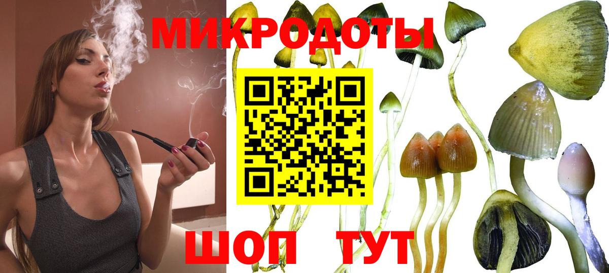 Галлюциногенные грибы GOLDEN TEACHER  Вход с VPN  Урус-Мартан  Галлюциногенные грибы ЛСД 