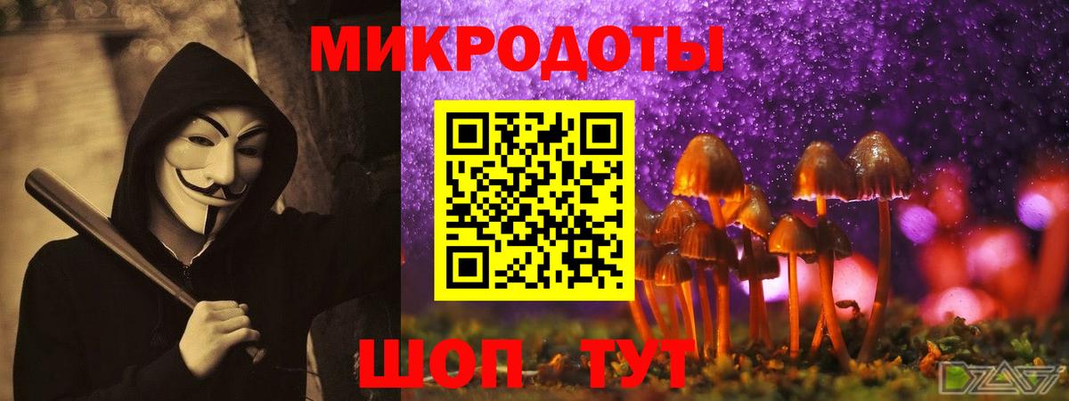 Галлюциногенные грибы мицелий Урус-Мартан